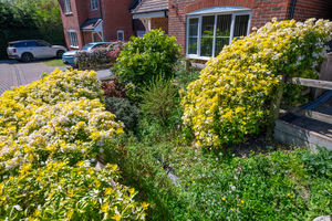 Waterside Gardens